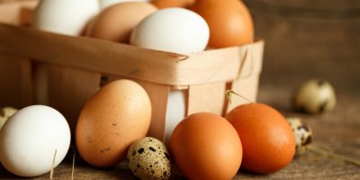 Křepelčí vs. slepičí vejce. Která obsahují více cholesterolu a která jsou zdravější?