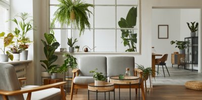 Moderní obývací pokoj se stolkem, křesly a množstvím květin