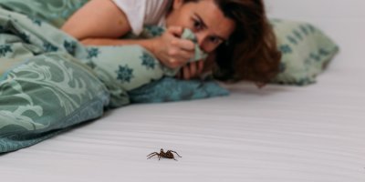 Žena se v peřinách schovává před pavoukem