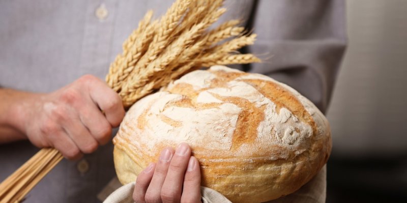 Cena pšenice klesá, pečivo i přesto zdražuje! A levnějších rohlíků nebo chleba se jen tak nedočkáme Cena pšenice klesá, pečivo i přesto zdražuje! A levnějších rohlíků nebo chleba se jen tak nedočkáme